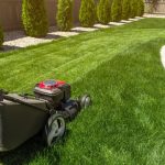 Seasonal Lawn Service